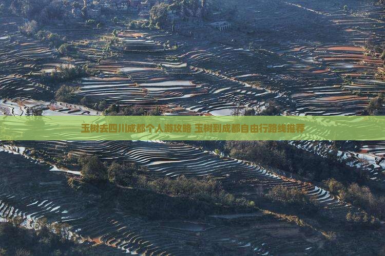 玉树去四川成都个人游