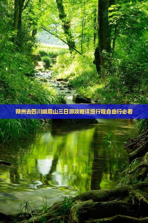 朔州去四川峨眉山三日游