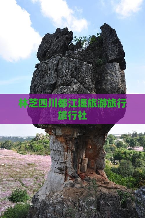 林芝去四川都江堰旅行社