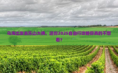 乌海去四川乐山大佛自由行