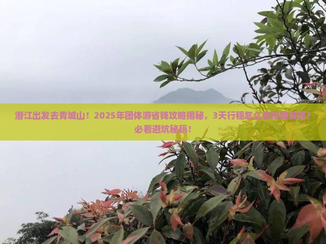 潜江到四川青城山团体旅游
