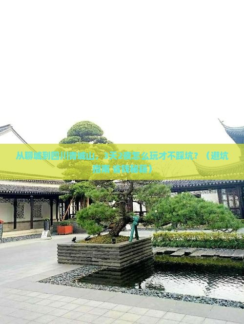 聊城到四川青城山个人游