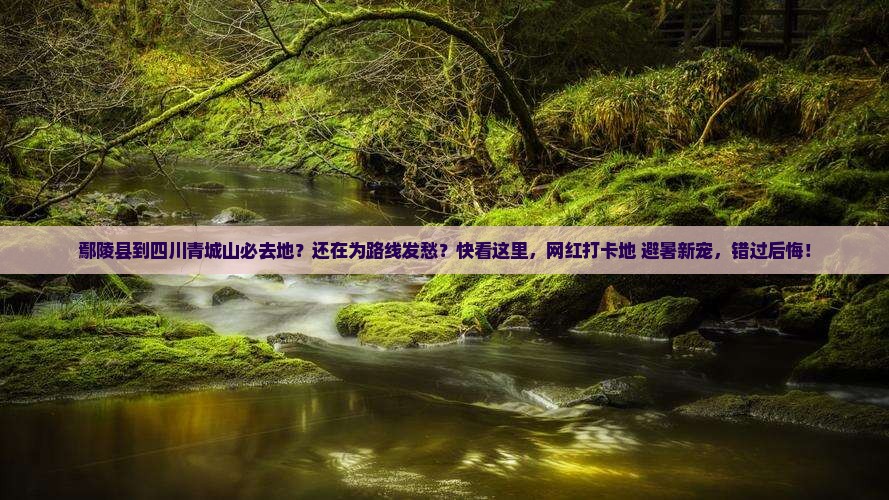 鄢陵县到四川青城山必去地
