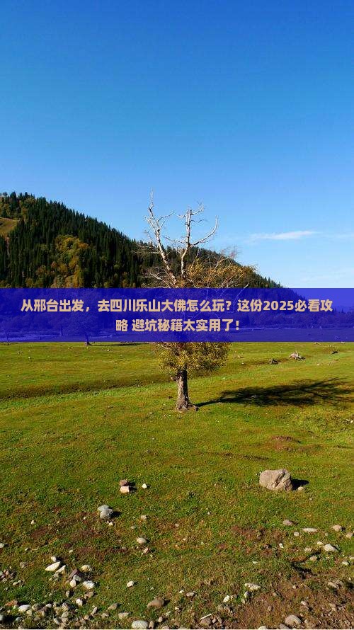 邢台去四川乐山大佛旅游