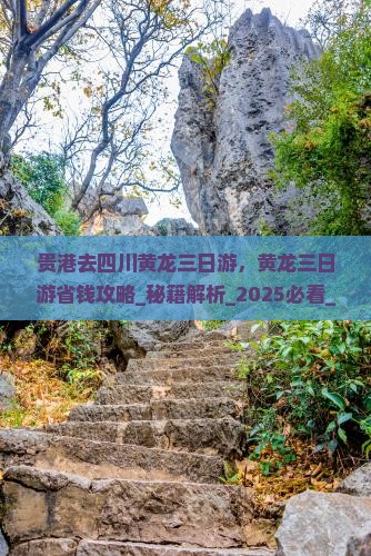 贵港去四川黄龙三日游