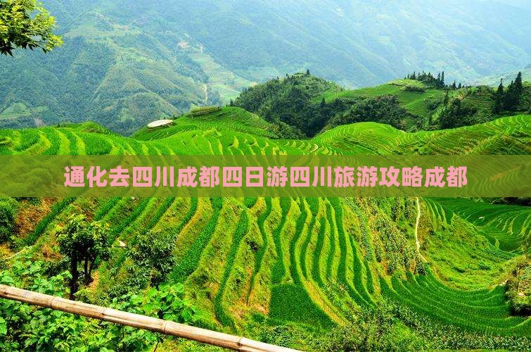 通化去四川成都四日游