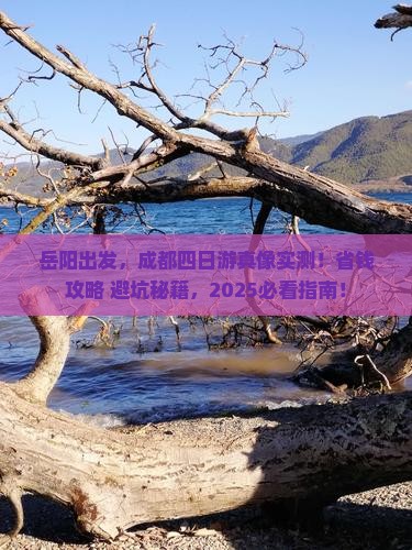 岳阳去四川成都四日游