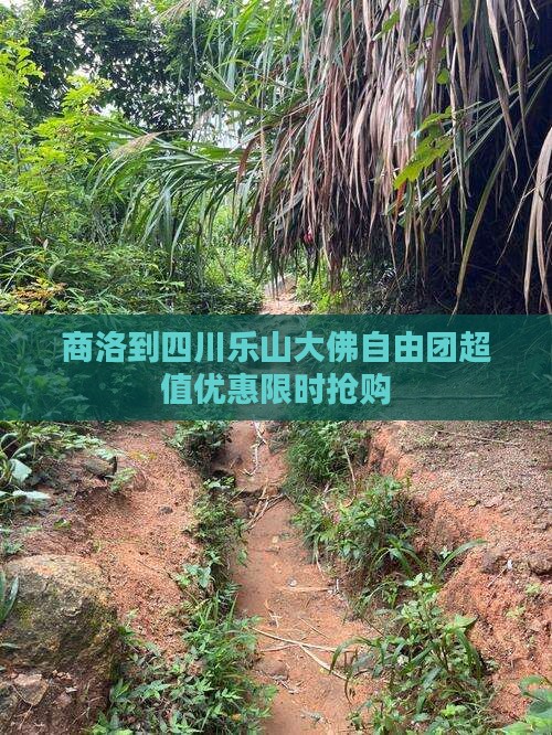 商洛到四川乐山大佛自由团