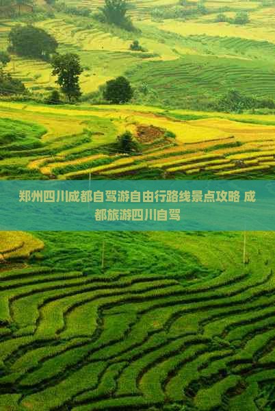 郑州去四川成都自由行