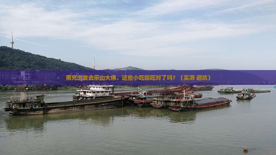 南充到四川乐山大佛旅游小吃