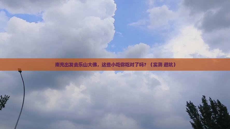 南充到四川乐山大佛旅游小吃