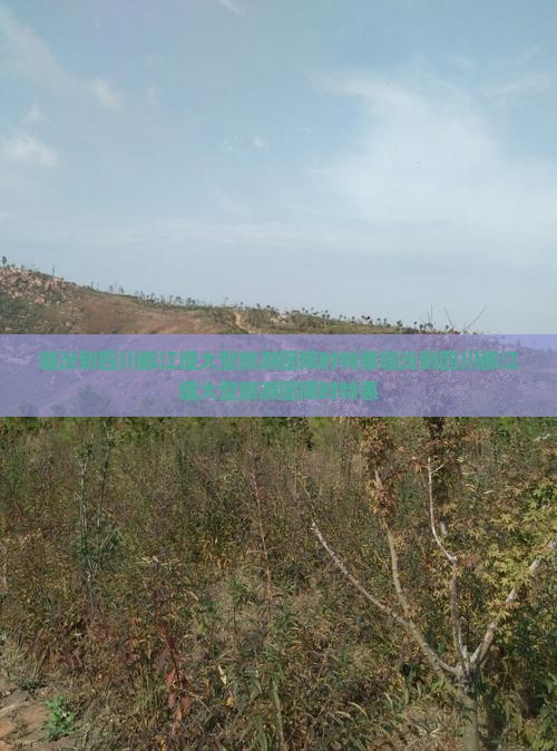 临汾到四川都江堰大型旅游团