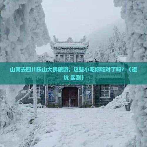 山南去四川乐山大佛旅游小吃
