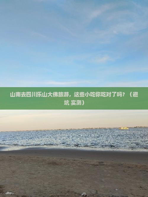 山南去四川乐山大佛旅游小吃