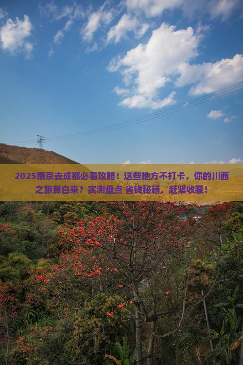 南京去四川成都必去地