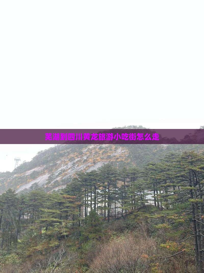 芜湖到四川黄龙旅游小吃