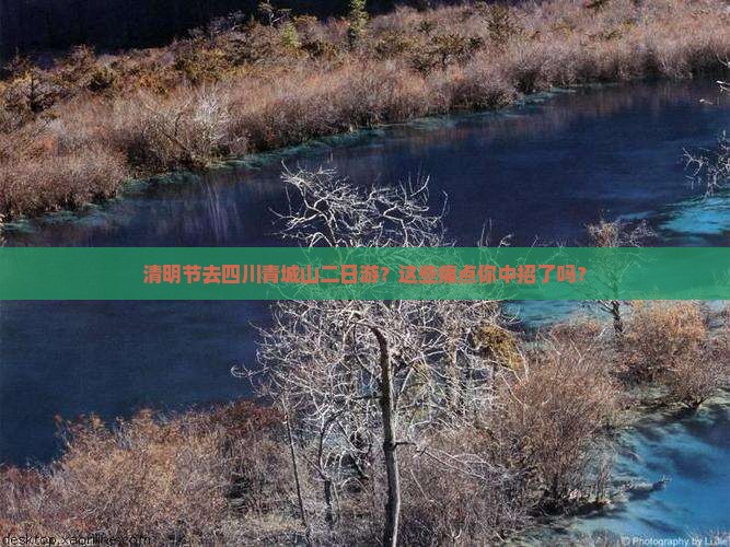 清明节去四川青城山二日游