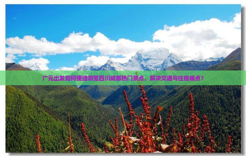 广元出发如何便捷游览四川成都热门景点，解决交通与住宿痛点？