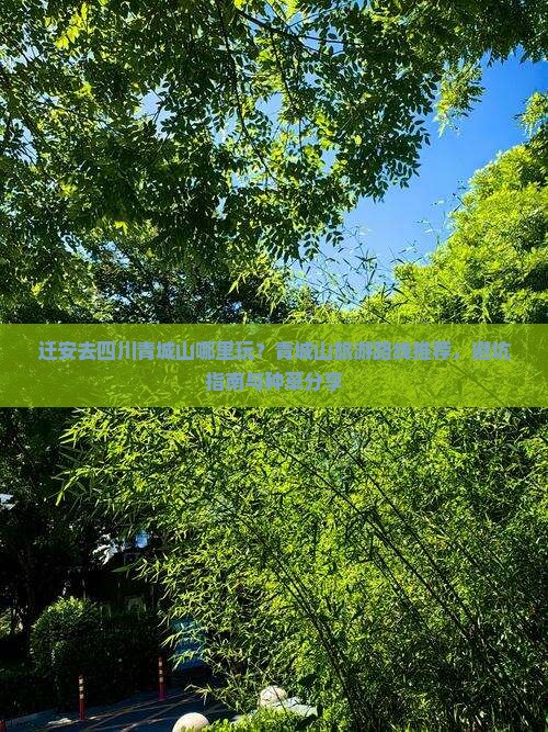 迁安去四川青城山哪里玩？青城山旅游路线推荐，避坑指南与种草分享
