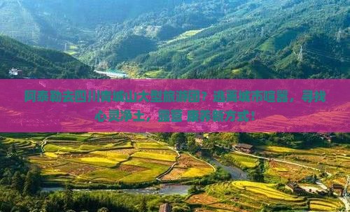 阿泰勒去四川青城山大型旅游团？逃离城市喧嚣，寻找心灵净土，露营+康养新方式！