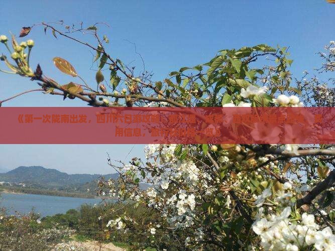 《第一次陇南出发，四川六日游攻略：都江堰、成都、西双版纳景点路线、费用信息，旅行社价格一览》