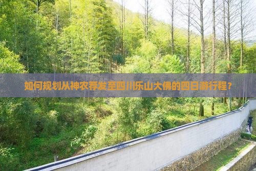 如何规划从神农荐发至四川乐山大佛的四日游行程？