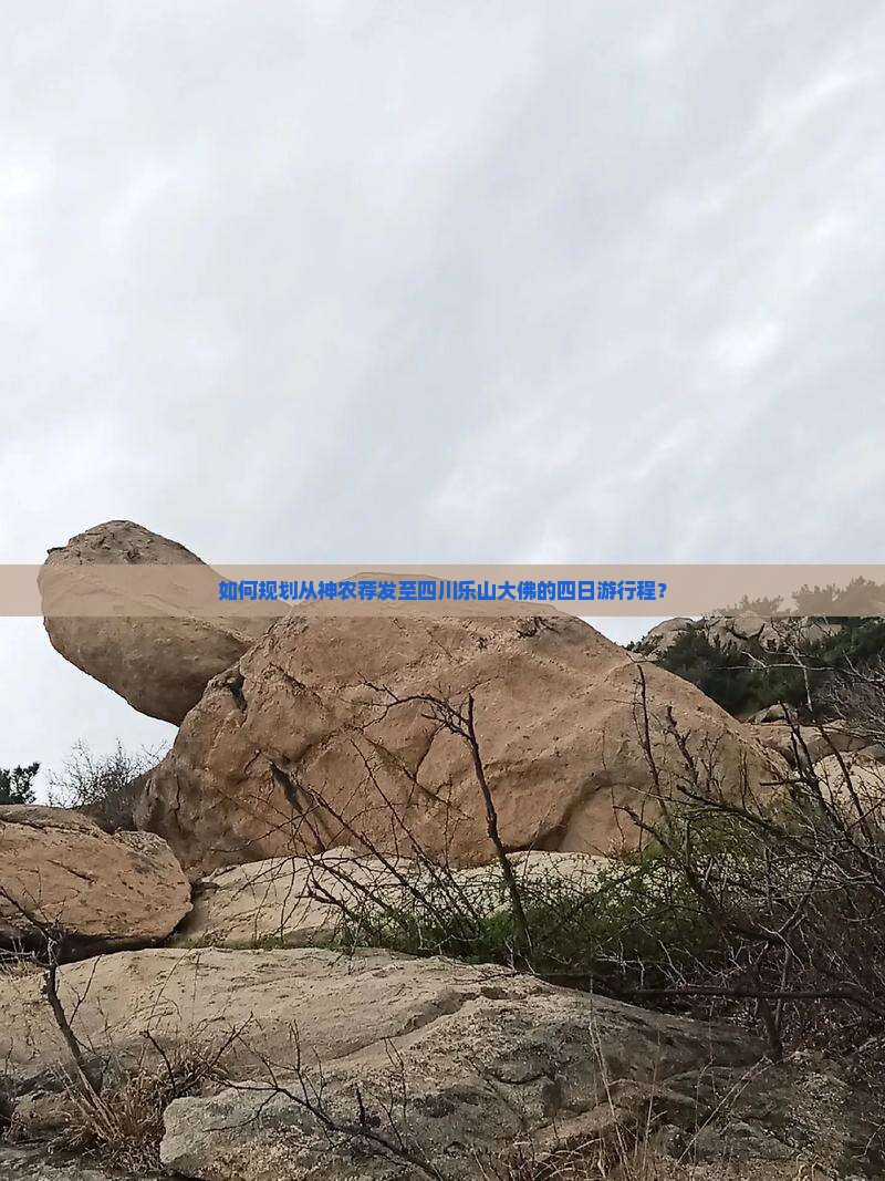 如何规划从神农荐发至四川乐山大佛的四日游行程？