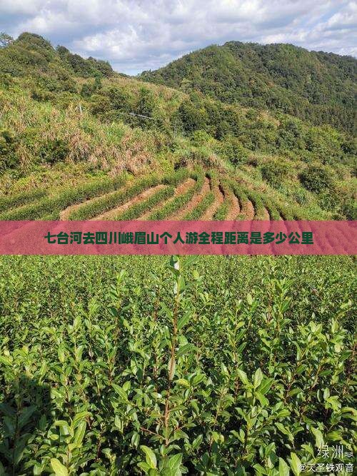 七台河去四川峨眉山个人游全程距离是多少公里