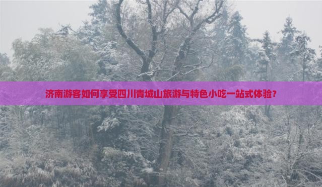 济南游客如何享受四川青城山旅游与特色小吃一站式体验？