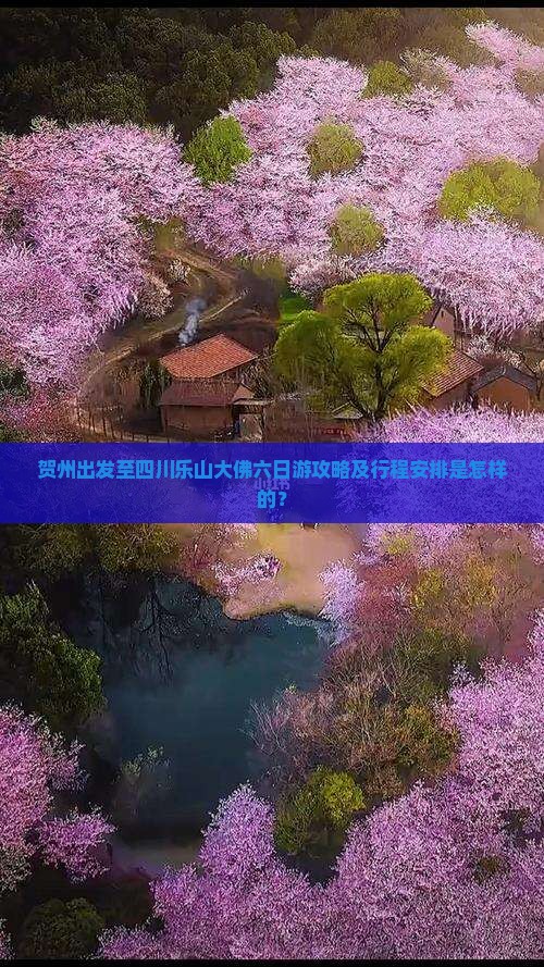 贺州出发至四川乐山大佛六日游攻略及行程安排是怎样的？