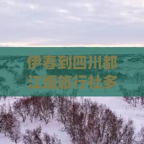 伊春到四川都江堰旅行社多少公里及怎么走