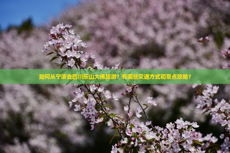 如何从宁波去四川乐山大佛旅游？有哪些交通方式和景点攻略？