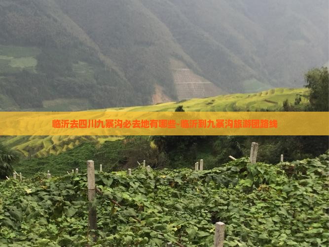 临沂去四川九寨沟必去地有哪些-临沂到九寨沟旅游团路线