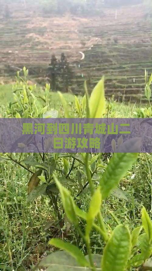 黑河到四川青城山二日游攻略