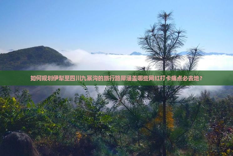 如何规划伊犁至四川九寨沟的旅行路犀涵盖哪些网红打卡痛点必去地？