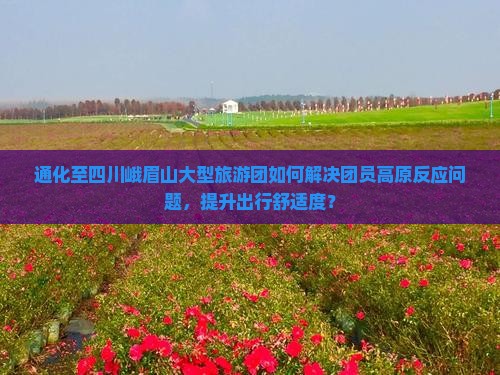 通化至四川峨眉山大型旅游团如何解决团员高原反应问题，提升出行舒适度？