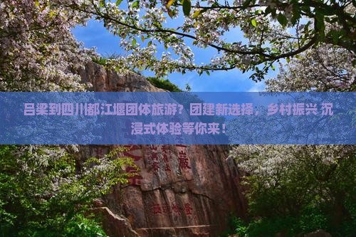 吕梁到四川都江堰团体旅游？团建新选择，乡村振兴+沉浸式体验等你来！