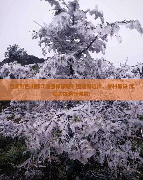 吕梁到四川都江堰团体旅游？团建新选择，乡村振兴+沉浸式体验等你来！