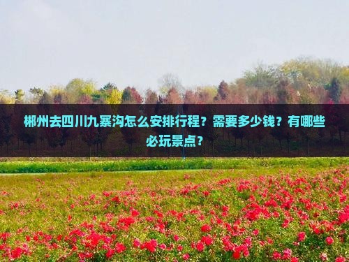郴州去四川九寨沟怎么安排行程？需要多少钱？有哪些必玩景点？