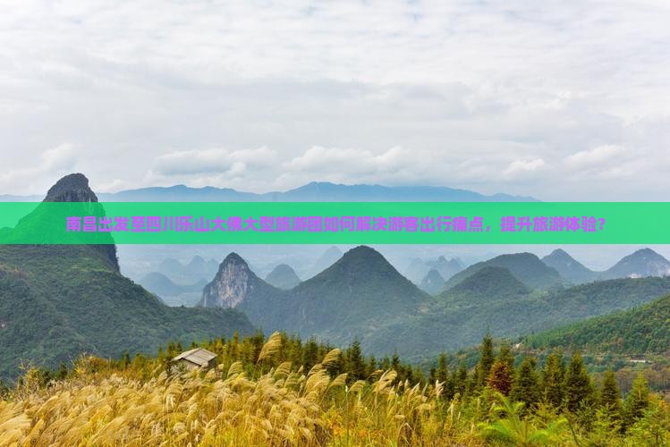 南昌出发至四川乐山大佛大型旅游团如何解决游客出行痛点，提升旅游体验？