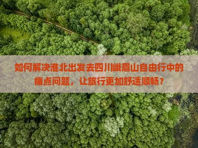 如何解决淮北出发去四川峨眉山自由行中的痛点问题，让旅行更加舒适顺畅？