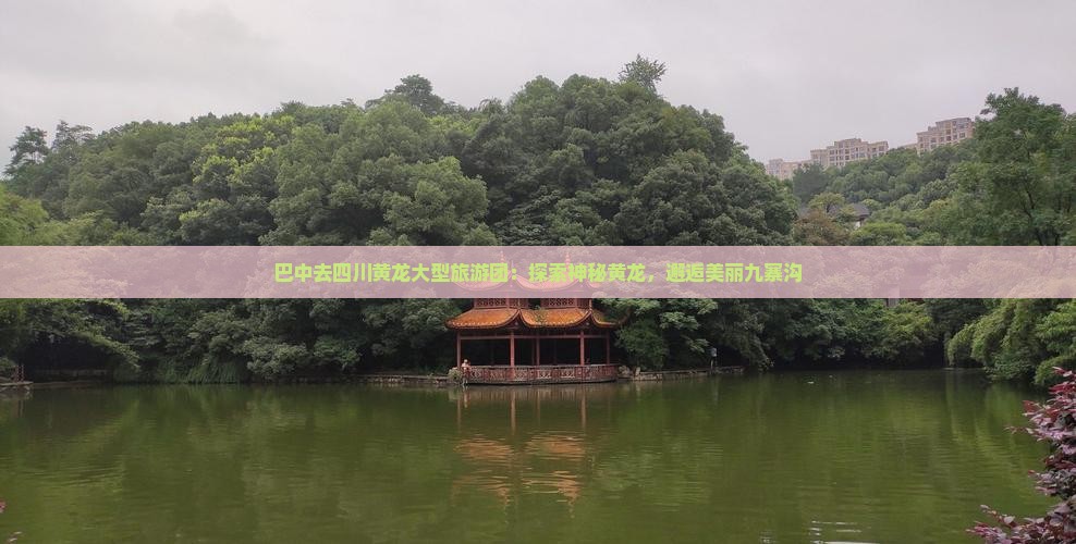 巴中去四川黄龙大型旅游团：探索神秘黄龙，邂逅美丽九寨沟