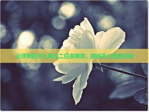 云浮到四川九寨沟二日游费用、路线及公里数详解