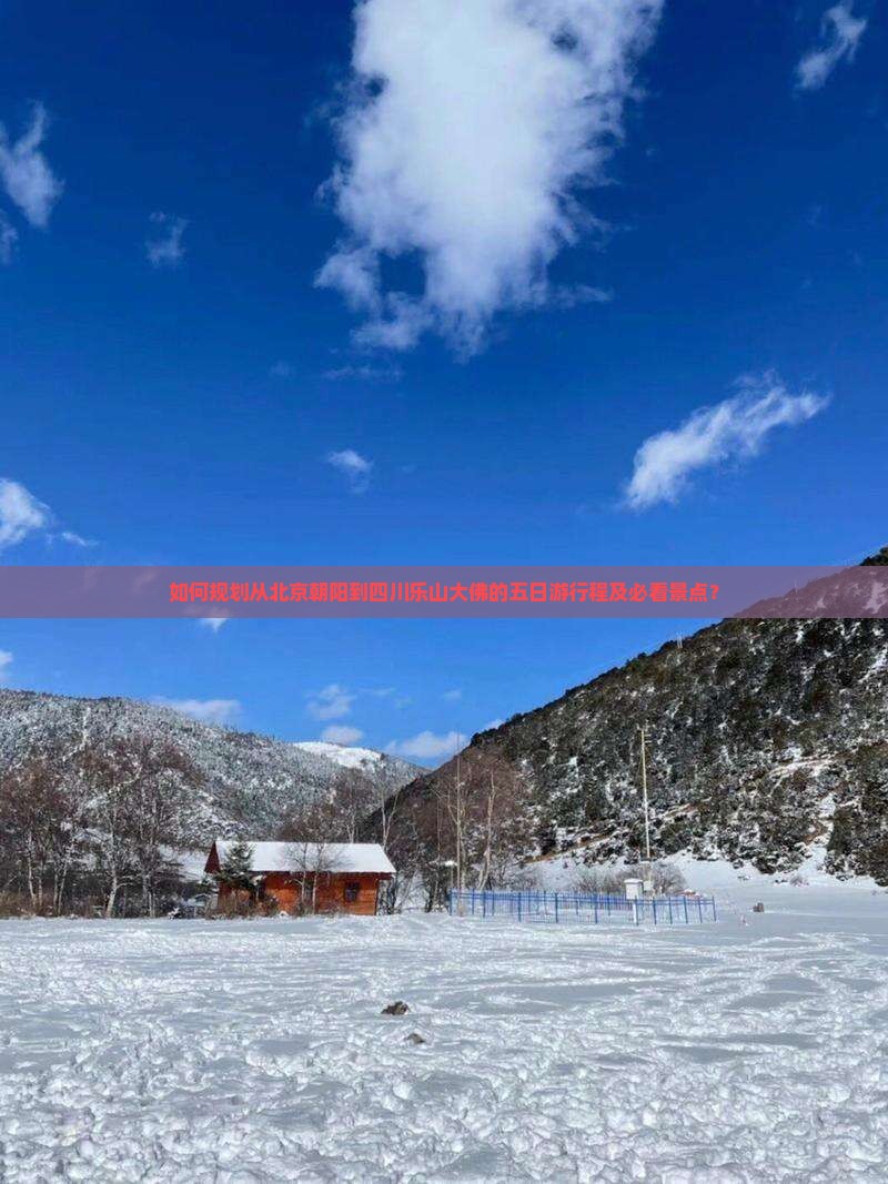 如何规划从北京朝阳到四川乐山大佛的五日游行程及必看景点？