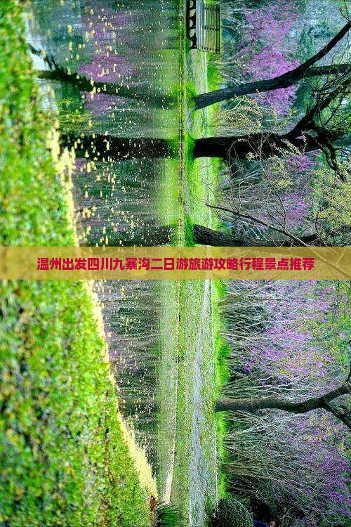 温州出发四川九寨沟二日游旅游攻略行程景点推荐