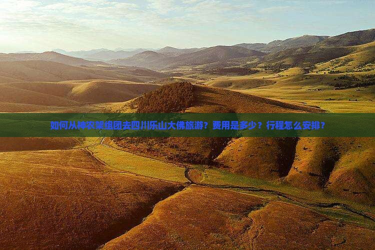如何从神农架组团去四川乐山大佛旅游？费用是多少？行程怎么安排？