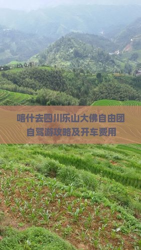喀什去四川乐山大佛自由团自驾游攻略及开车费用