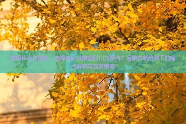 如何从海东出发，选择旅行社前往四川九寨沟？后旅游新趋势下的痛点解析与应对策略