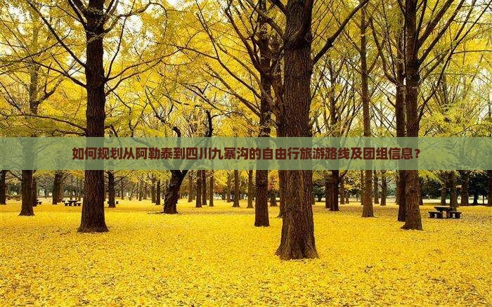 如何规划从阿勒泰到四川九寨沟的自由行旅游路线及团组信息？