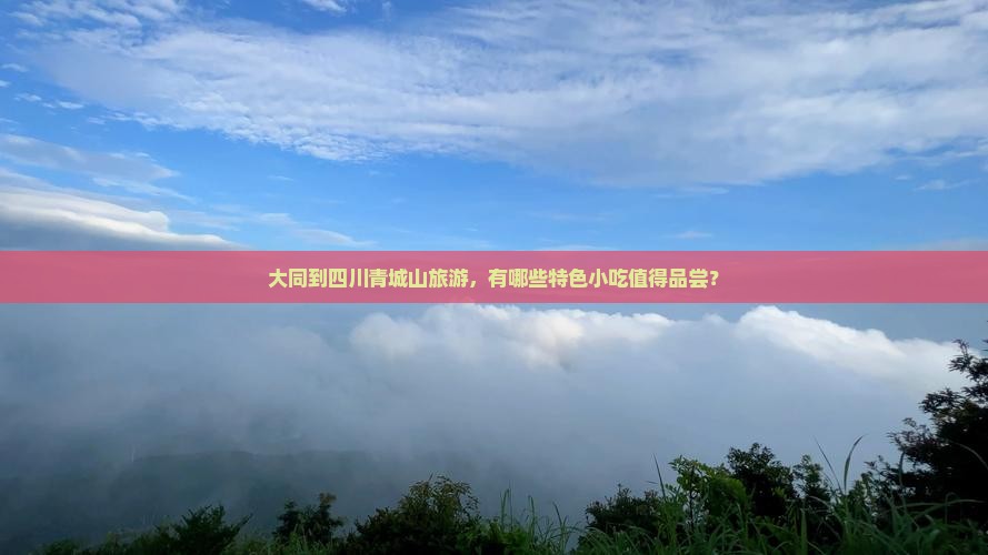 大同到四川青城山旅游，有哪些特色小吃值得品尝？